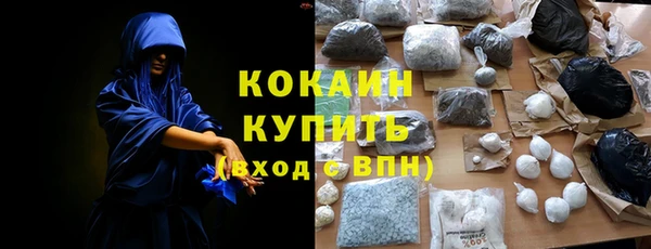стаф Болотное