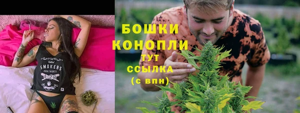 стаф Болотное