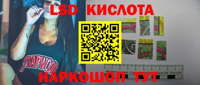 бошки Гатчина