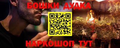бошки Гатчина