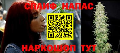 бошки Гатчина