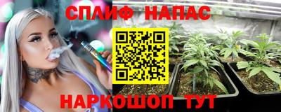 СК Абинск