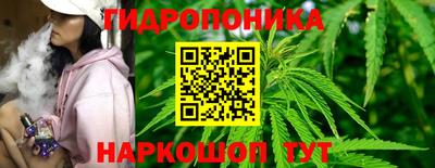 СК Абинск