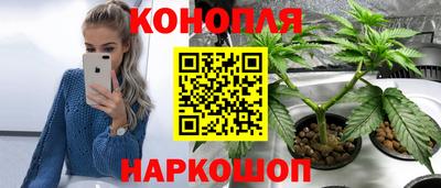 бошки Гатчина