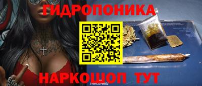 бошки Гатчина