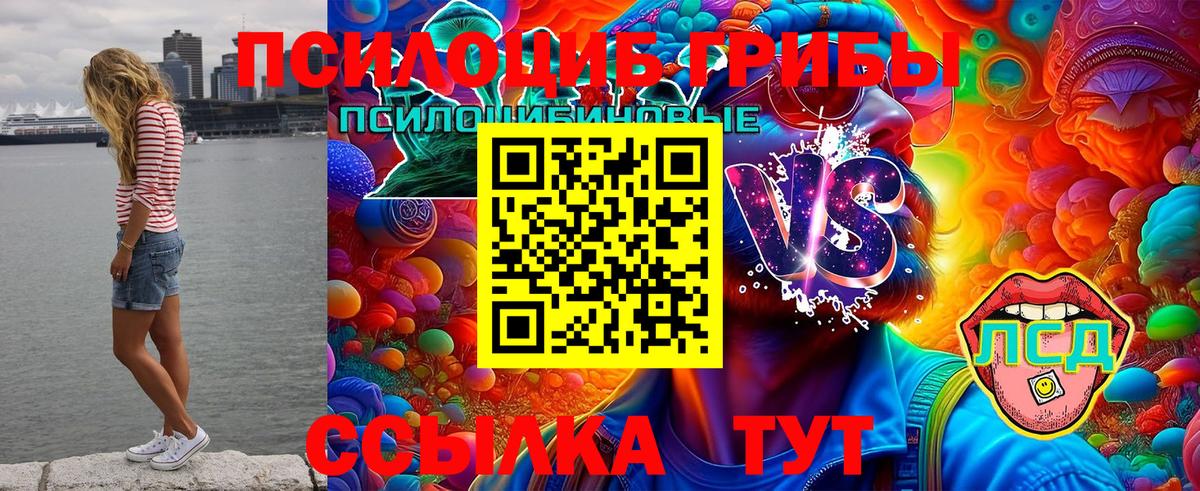 Галлюциногенные грибы Cubensis  Галлюциногенные грибы MAGIC MUSHROOMS  купить закладку  Аксай 