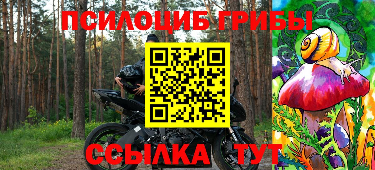 Галлюциногенные грибы Psilocybe  Вход с VPN  Аксай  Псилоцибиновые грибы MAGIC MUSHROOMS 