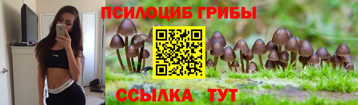 Аксай  Галлюциногенные грибы мицелий  Вход с VPN 
